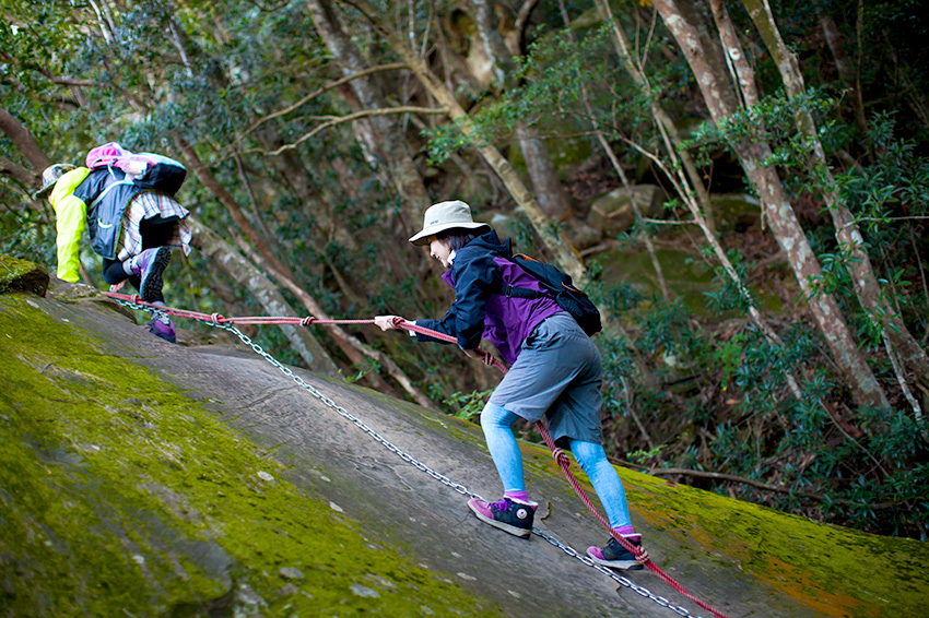 トレッキング体験
