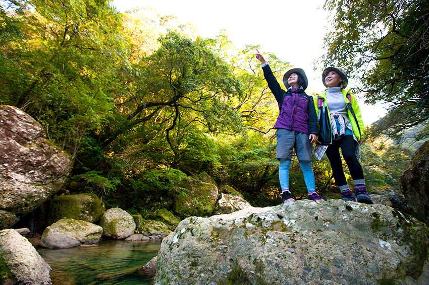 ハイキング体験