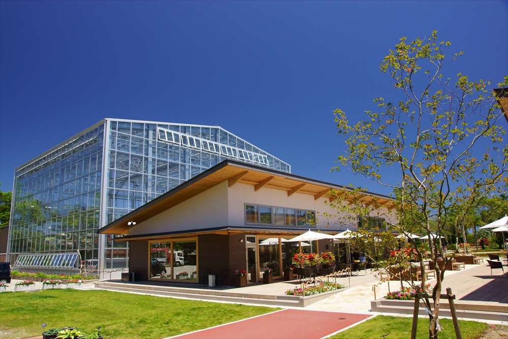 宮交ボタニックガーデン青島に行く