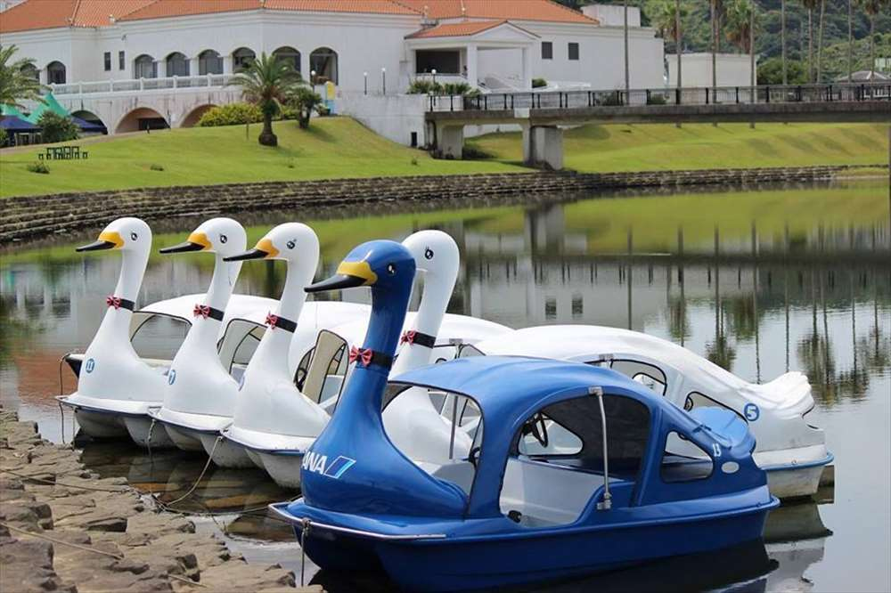 スワンボートに乗る