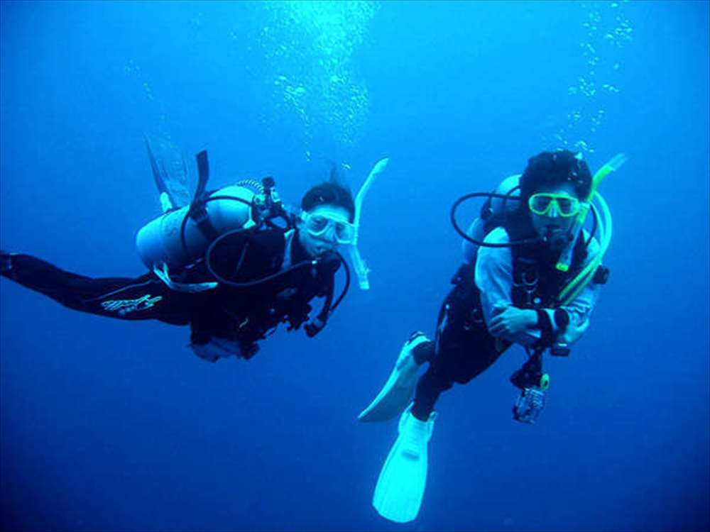 ダイビング体験